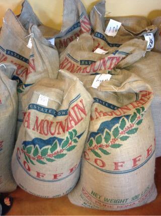 ハワイ島の美味しいコーヒー豆ならコナマウンテンコーヒー
